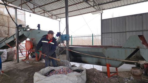 庫爾勒廢舊物資回收加工產(chǎn)業(yè)園吹響春節(jié)復工集結(jié)號